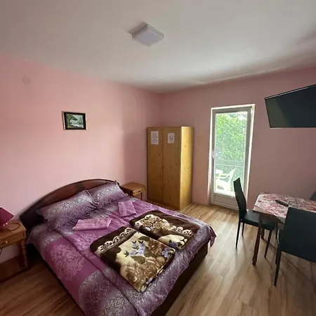 Bozinovic Soko Banja