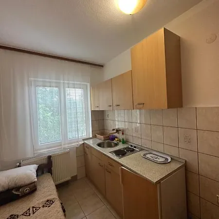 Bozinovic Apartment *