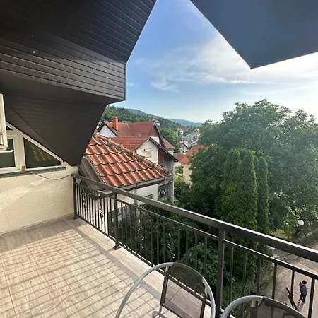 Apartment Bozinovic Sokobanja
