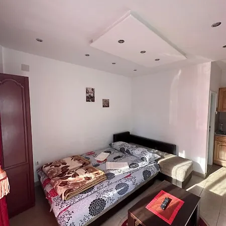 Bozinovic Soko Banja