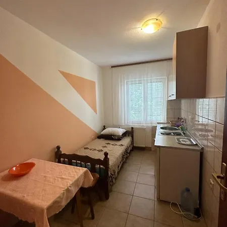 Bozinovic Lägenhet Soko Banja