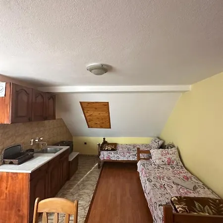 Bozinovic Soko Banja