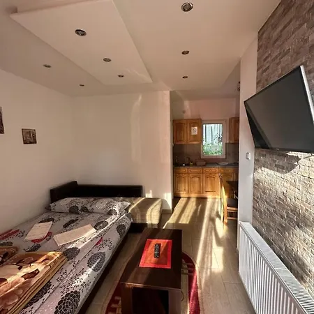 Bozinovic * Sokobanja