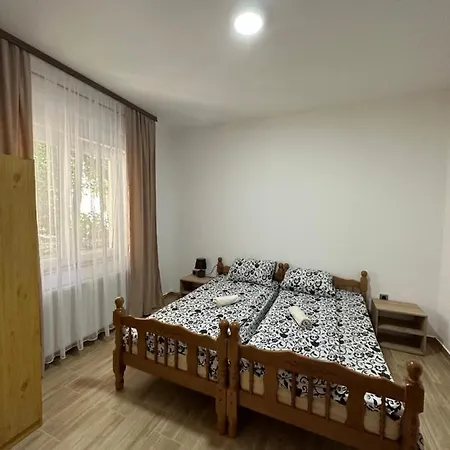 Apartment Bozinovic Sokobanja