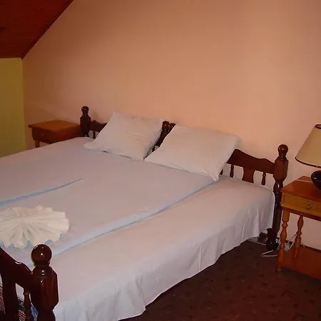 Bozinovic 索科矿泉村