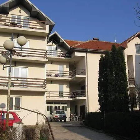 Bozinovic 公寓 索科矿泉村