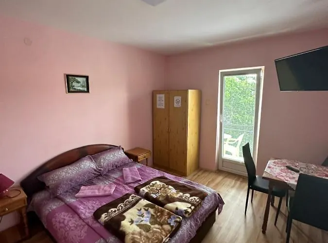 Bozinovic 索科矿泉村