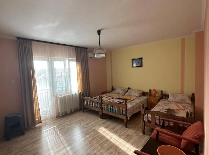 Bozinovic * 索科矿泉村