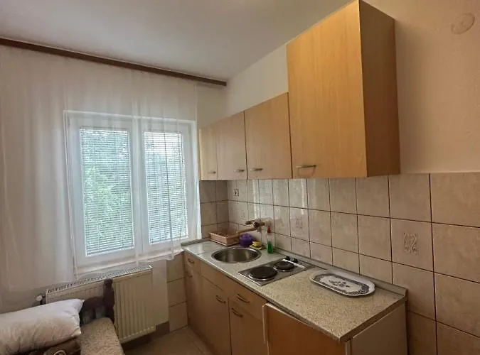 Bozinovic Apartment *