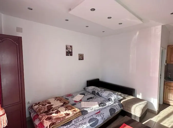 Bozinovic 索科矿泉村