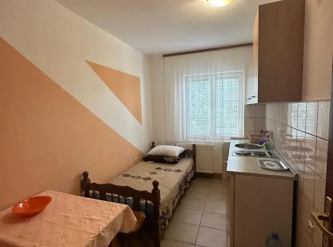 Bozinovic Apartment Sokobanja