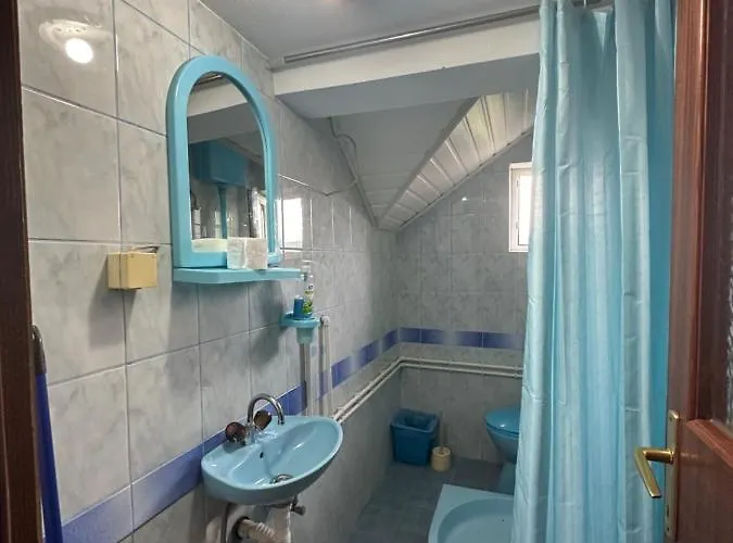 Apartment Bozinovic *