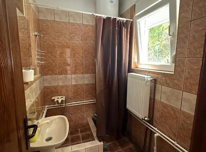 Apartment Bozinovic *