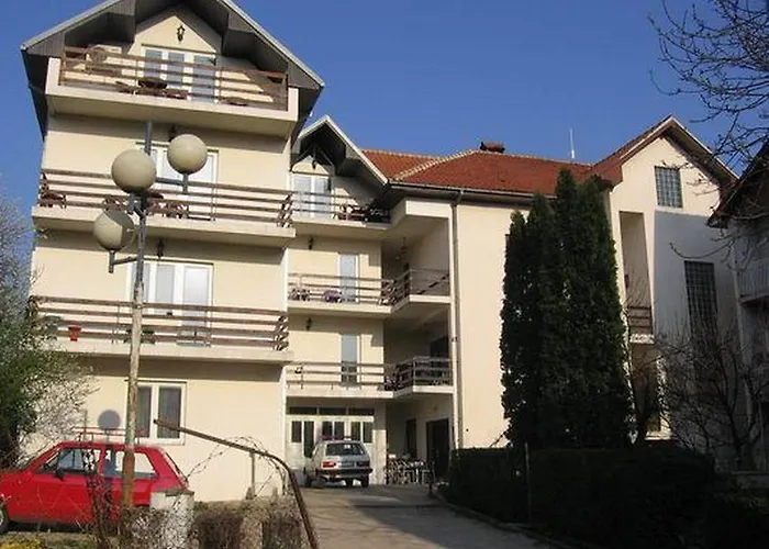 Bozinovic Apartment Sokobanja